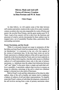 Mirror, Mask and Anti-self