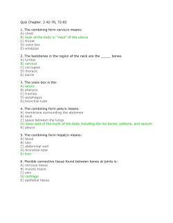Quiz Chapter. 2 42-70, 72-82 1. The combining form cervic/o means