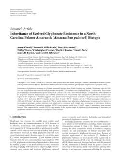 Inheritance of Evolved Glyphosate Resistance in a North Carolina