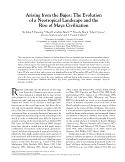 Arising from the Bajos: The Evolution of a Neotropical Landscape