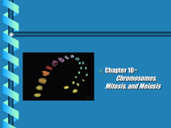 Genetics, Chapter 10