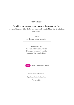 Small area estimation : an application to the estimation of