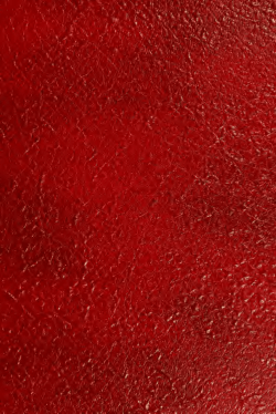 The engineering technician: dilemmas of a marginal