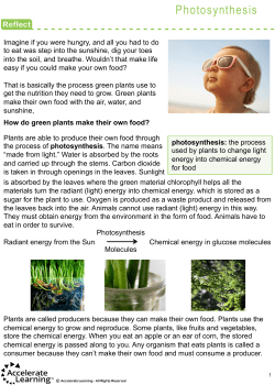Photosynthesis