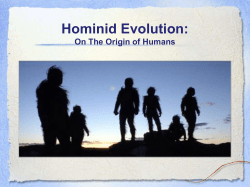 Hominid Evolution - Lemon Bay High School