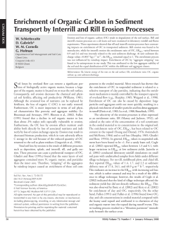 Enrichment of Organic Carbon in Sediment Transport by Interrill and
