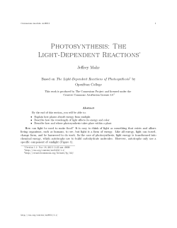 Photosynthesis: The Light-Dependent Reactions