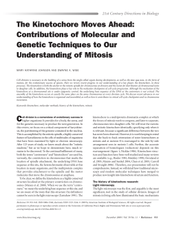 The Kinetochore Moves Ahead: Contributions of Molecular and