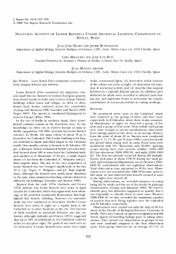 Noctural Activity of Lesser Kestrels Under Artificial Lighting