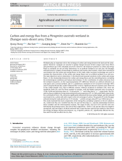 Carbon and energy flux from a Phragmites australis wetland in