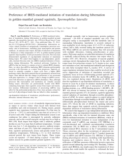 Preference of IRES-mediated initiation of translation during