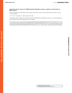 Sequential roles for myosin-X in BMP6
