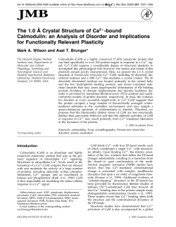 The 1.0 A Crystal Structure of Ca 2+ -bound