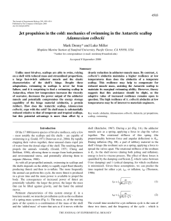 Jet propulsion in the cold: mechanics of swimming in the Antarctic