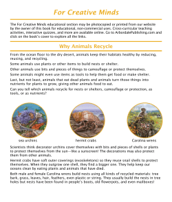 For Creative Minds - Arbordale Publishing