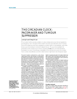 the circadian clock: pacemaker and tumour suppressor