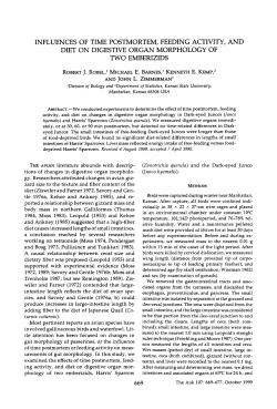 influences of time postmortem, feeding activity, and diet on digestive
