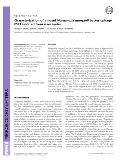 Characterization of a novel Morganella morganii bacteriophage