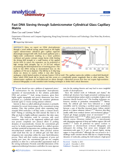 Fast DNA Sieving through Submicrometer Cylindrical Glass