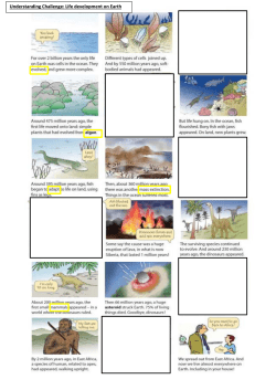 Life development on Earth