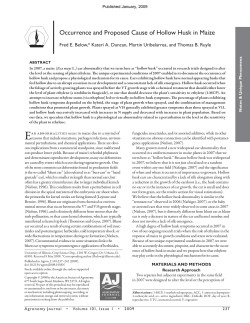 Occurrence and Proposed Cause of Hollow Husk in Maize