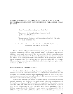 SOMATO-DENDRITIC INTERACTIONS UNDERLYING ACTION