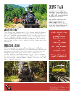 our Media Info PDF