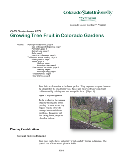 Growing Tree Fruit in Colorado Gardens