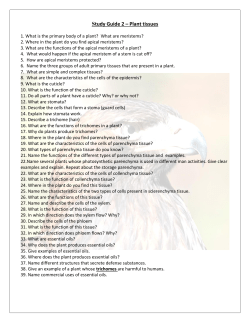 A class exercise to review where does the Plant Kingdom fit