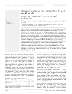 Rhizobium oryzae sp. nov., isolated from the wild rice Oryza alta