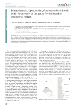 Echinodermata, Ophiuroidea, Gorgonocephalus Leach, 1815: First