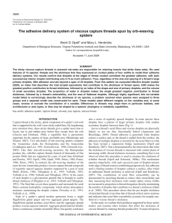 The adhesive delivery system of viscous capture threads spun by