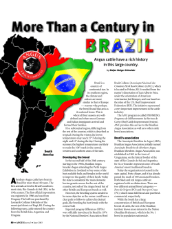 Angus cattle have a rich history in this large country.