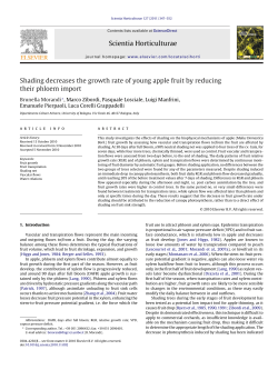 Shading decreases the growth rate of young apple fruit by reducing