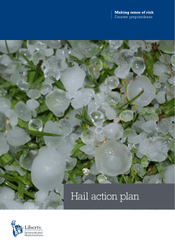 Hail action plan - LIU Asia Pacific