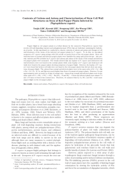 Contents of Cations and Anions and Characterization of Stem Cell