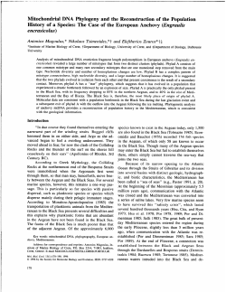 Mitochondrial DNA phylogeny and the reconstruction of the