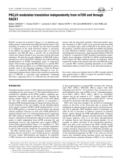PKC&beta;II modulates translation independently from mTOR and