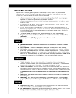 group programs