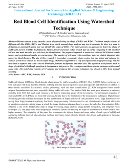 Red Blood Cell Identification Using Watershed Technique