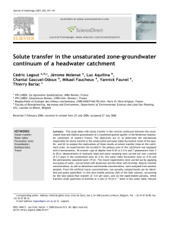 Solute transfer in the unsaturated zone