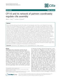 CP110 and its network of partners coordinately regulate cilia