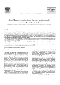 Role of the centrosome in mitosis: UV micro