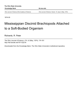 Mississippian Discinid Brachiopods Attached to a Soft