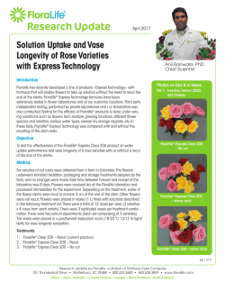 Solution Uptake and Vase Longevity of Rose Varieties
