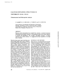 CALCIUM-CONTAINING STRUCTURES IN VERTEBRATE GLIAL