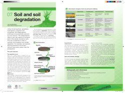 07 Soil and soil degradation