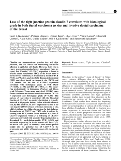 Loss of the tight junction protein claudin-7 correlates with