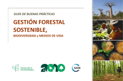 gesti&oacute;n forestal sostenible