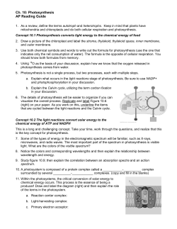 Ch. 10: Photosynthesis AP Reading Guide